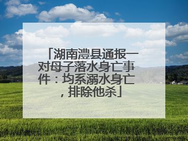 湖南澧县通报一对母子落水身亡事件：均系溺水身亡，排除他杀